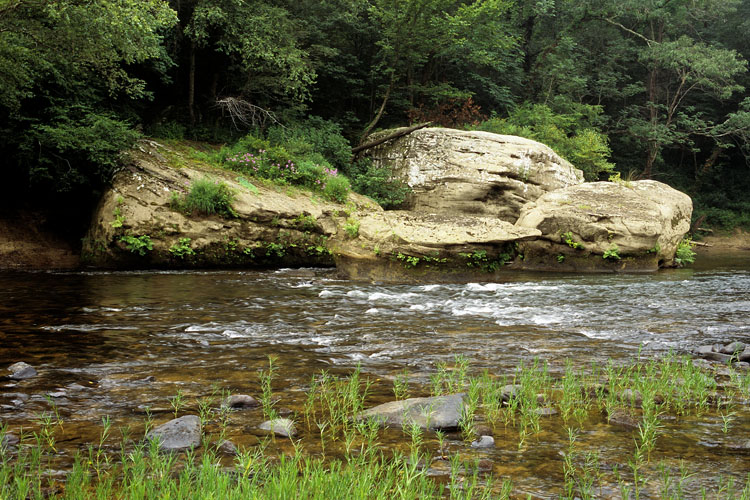 cumberland river kentucky scenic river