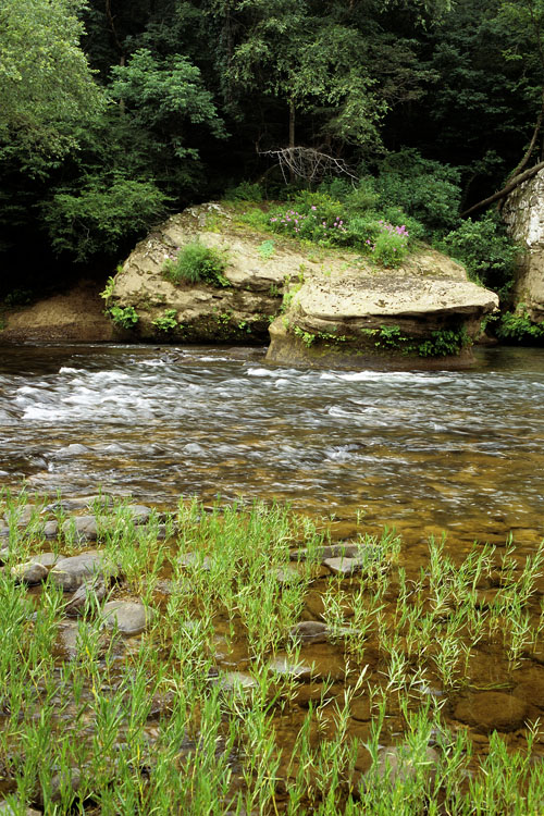 cumberland river big south fork