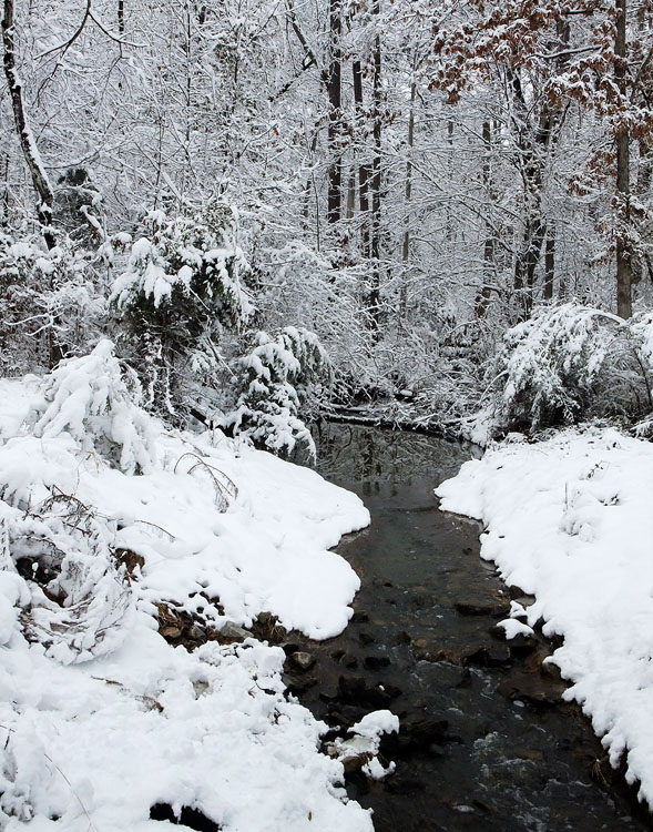 fresh snow and creek north carolina