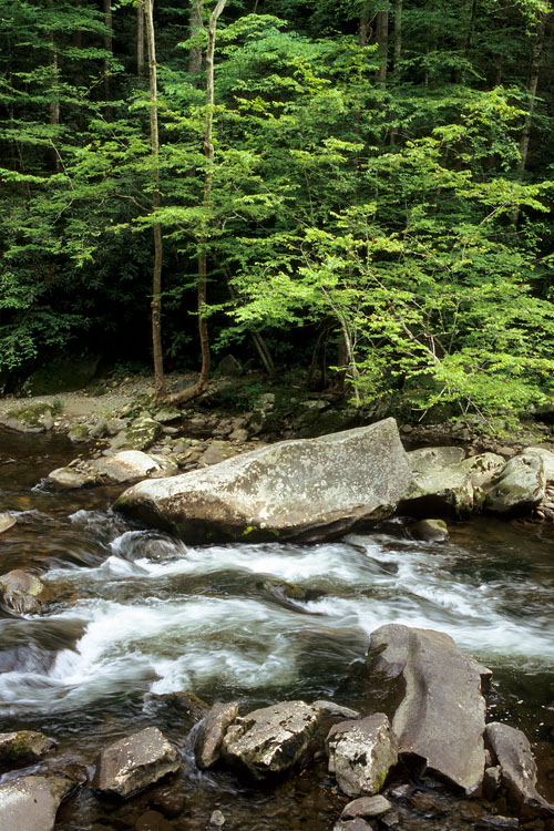 little river smoky mountains