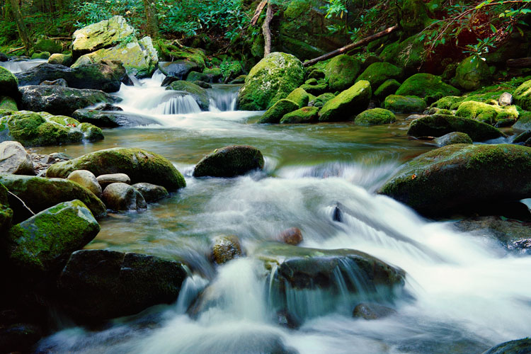 rushing smoky mountain stream