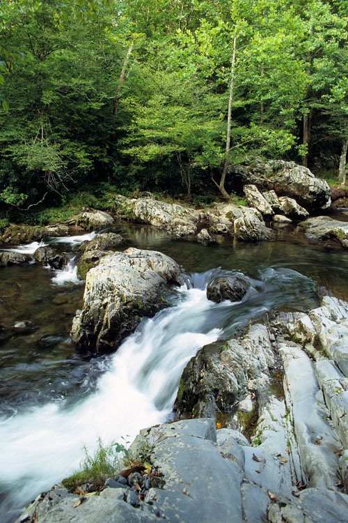 little pigeon river tennessee