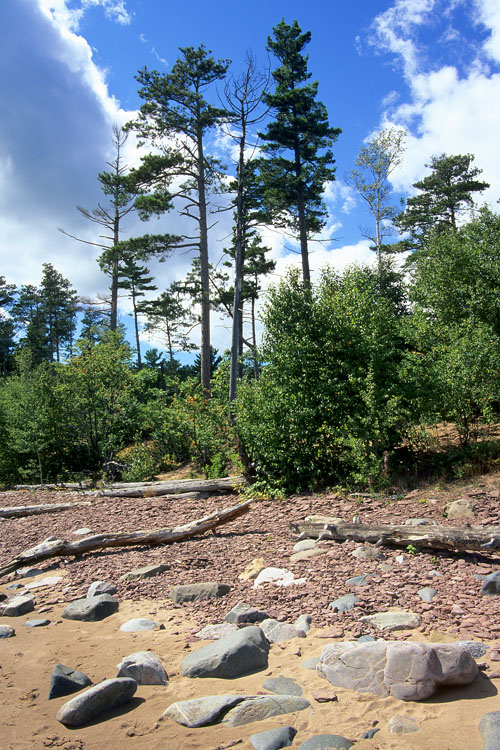 little presque point rocky beach