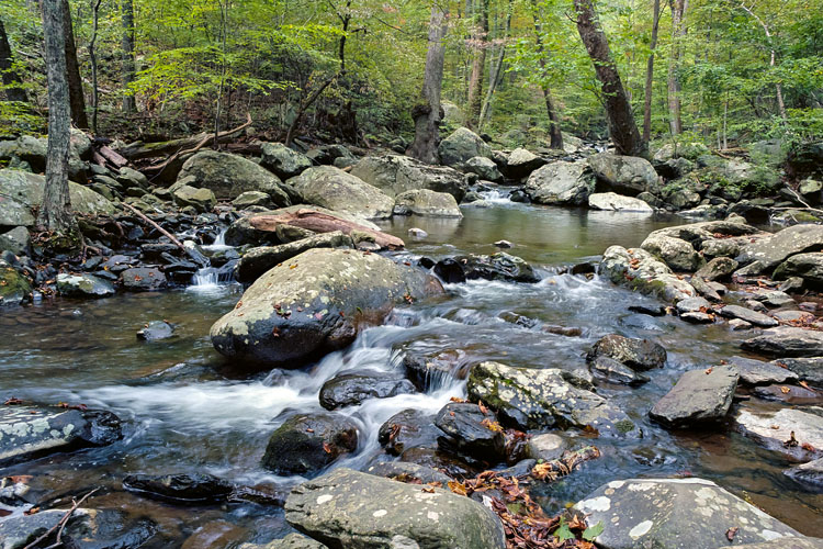 mountain stream shenandoah