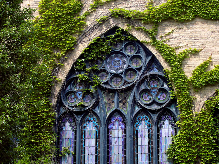 church window with ivy