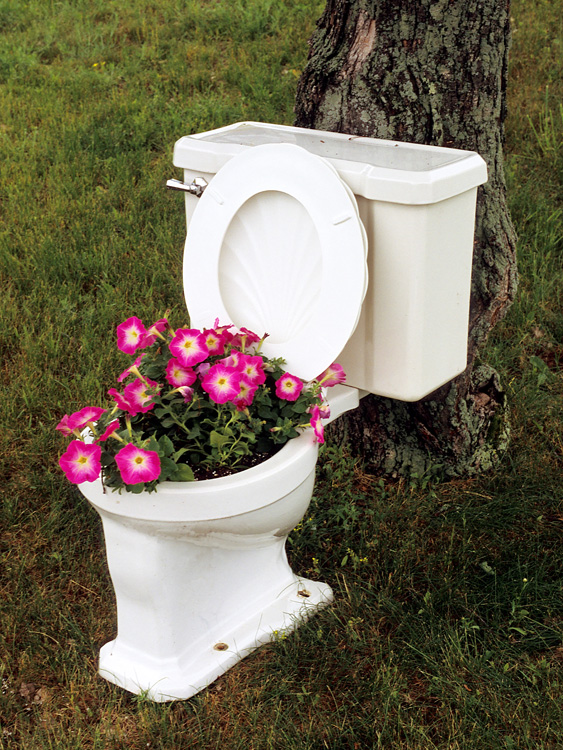 flowers and toilet